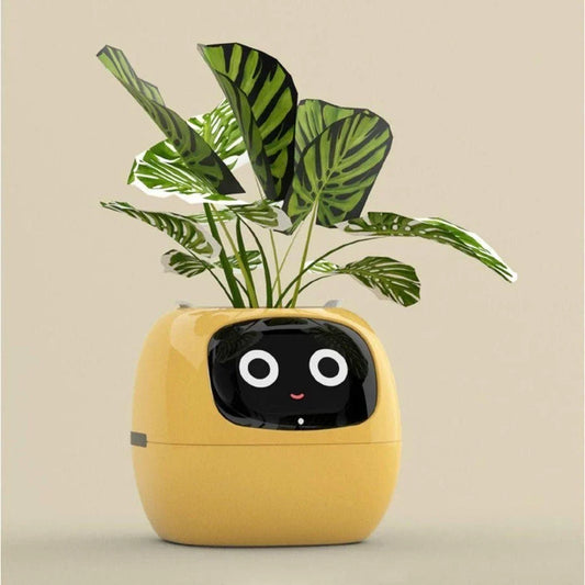 Plantagotchi - robô planta Inteligente compre 1 e leve 2